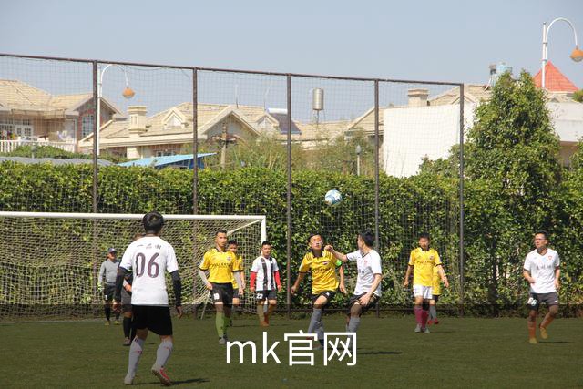 mk官网公司简介图片